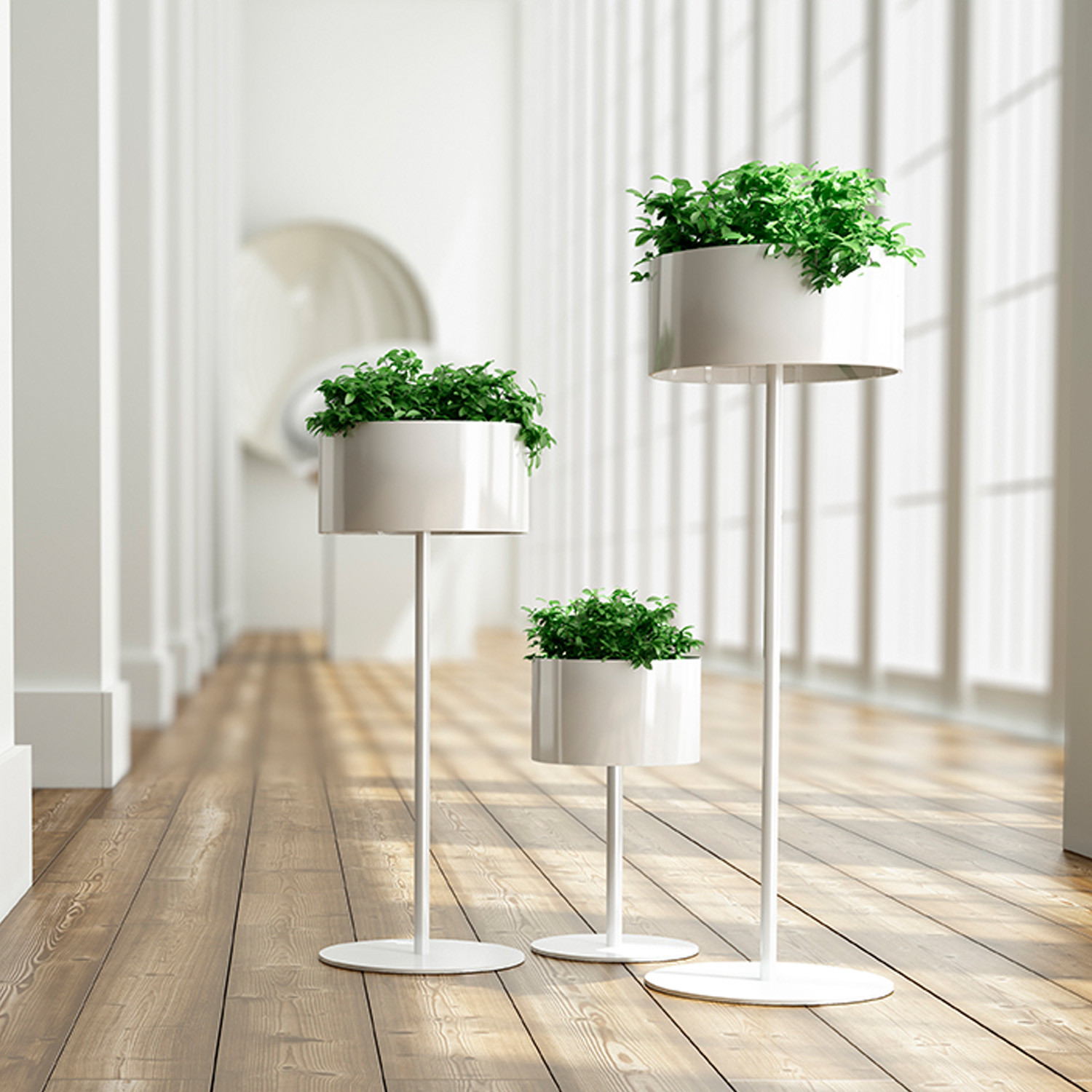 Green Cloud Plant Stands