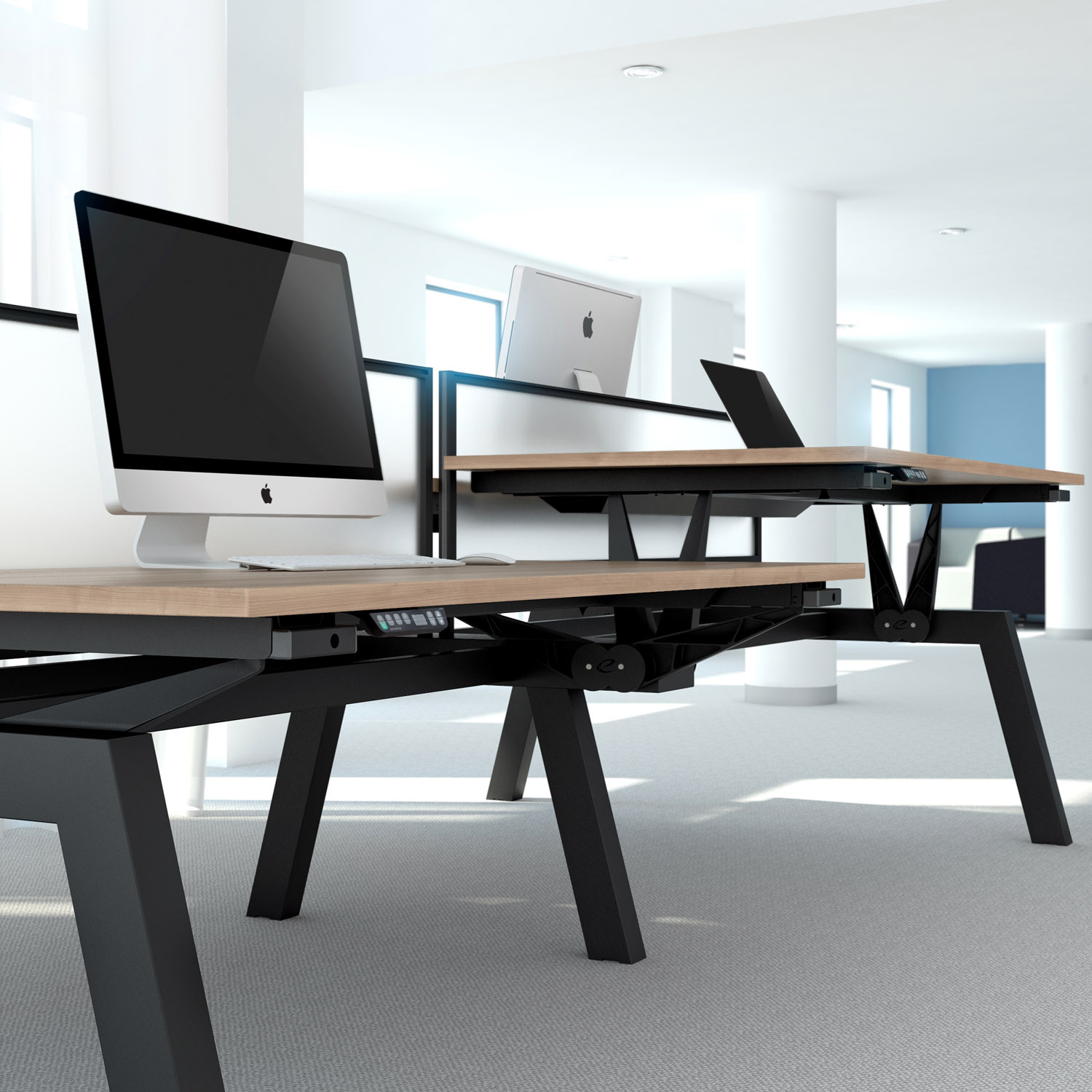 Linnea Elevate Electric Adjustable Bench Desks Linnea Elevate Electric Adjustable Bench Desks