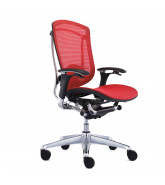 Contessa Mesh Task Chair