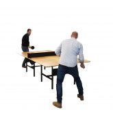 DAN Ping Pong Meeting Table