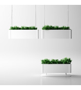 Green Light Plant Pots