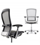 Office Chairs by Knoll