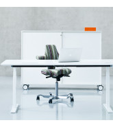 Q20 Adjustable Desk