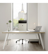 Reflex Office Desk