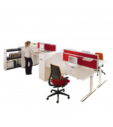 Temptation C Adjustable Desks