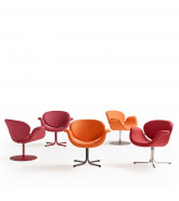 Tulip Midi Armchairs