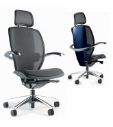 Xten Executive Office Chairs