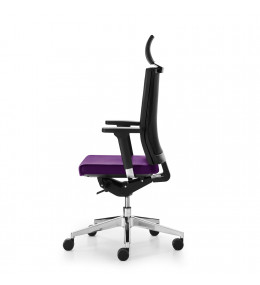 Blue Ergonomic Task Chair