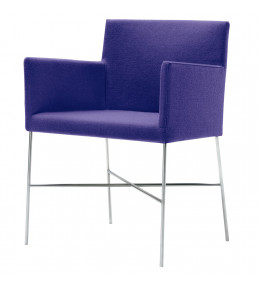 Crossoft Dining Chair