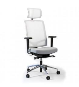 Faveo Task Chair with  Headrest