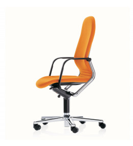 Sauer armchair shop