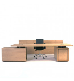 Normal Executive Desk