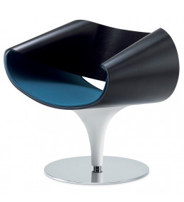 Perillo Chair in gloss finish