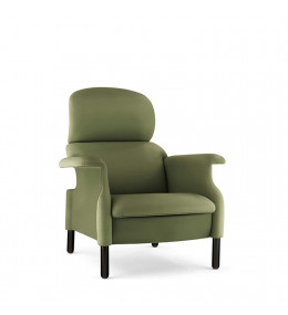 Sanluca Armchair Green