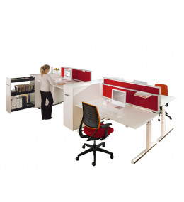 Temptation C Adjustable Desks