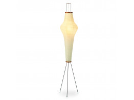 Akarie 14A  Floor Lamp