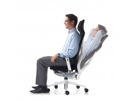 Crossline Executive Ergonomic Chair	
