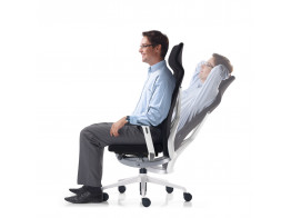 Crossline Executive Ergonomic Chair	