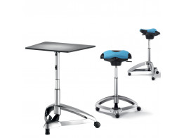 Dolphin Standing Seat and Table