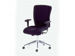 Go Task Chairs for Office Use