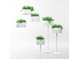 Green Cloud Plant Pots