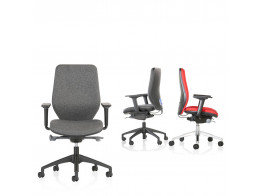 Joy Oh Ergonomic Task Chair