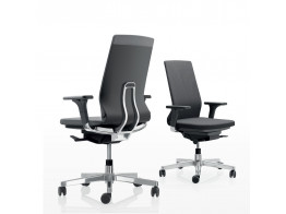 Pyla Ergonomic Tech Chairs