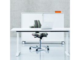 Q20 Adjustable Desk