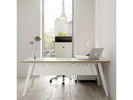 Reflex Office Desk