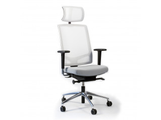 Faveo Task Chair