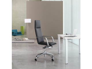 FinaSoft Conference Chairs