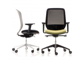 Joy Mesh Office Chairs