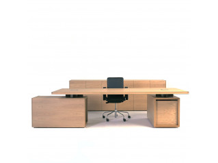 Normal Executive Desk