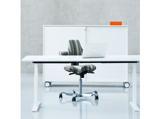 Q20 Height Adjustable Desk