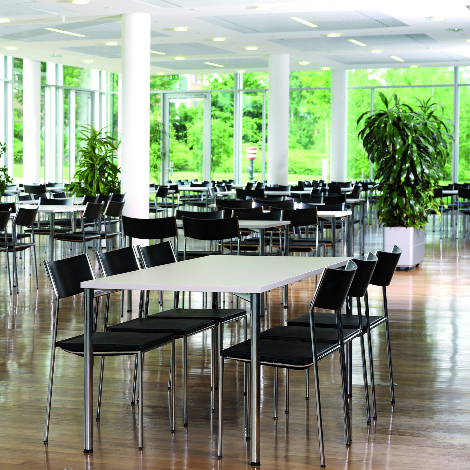 3150 Scorpii Canteen Tables