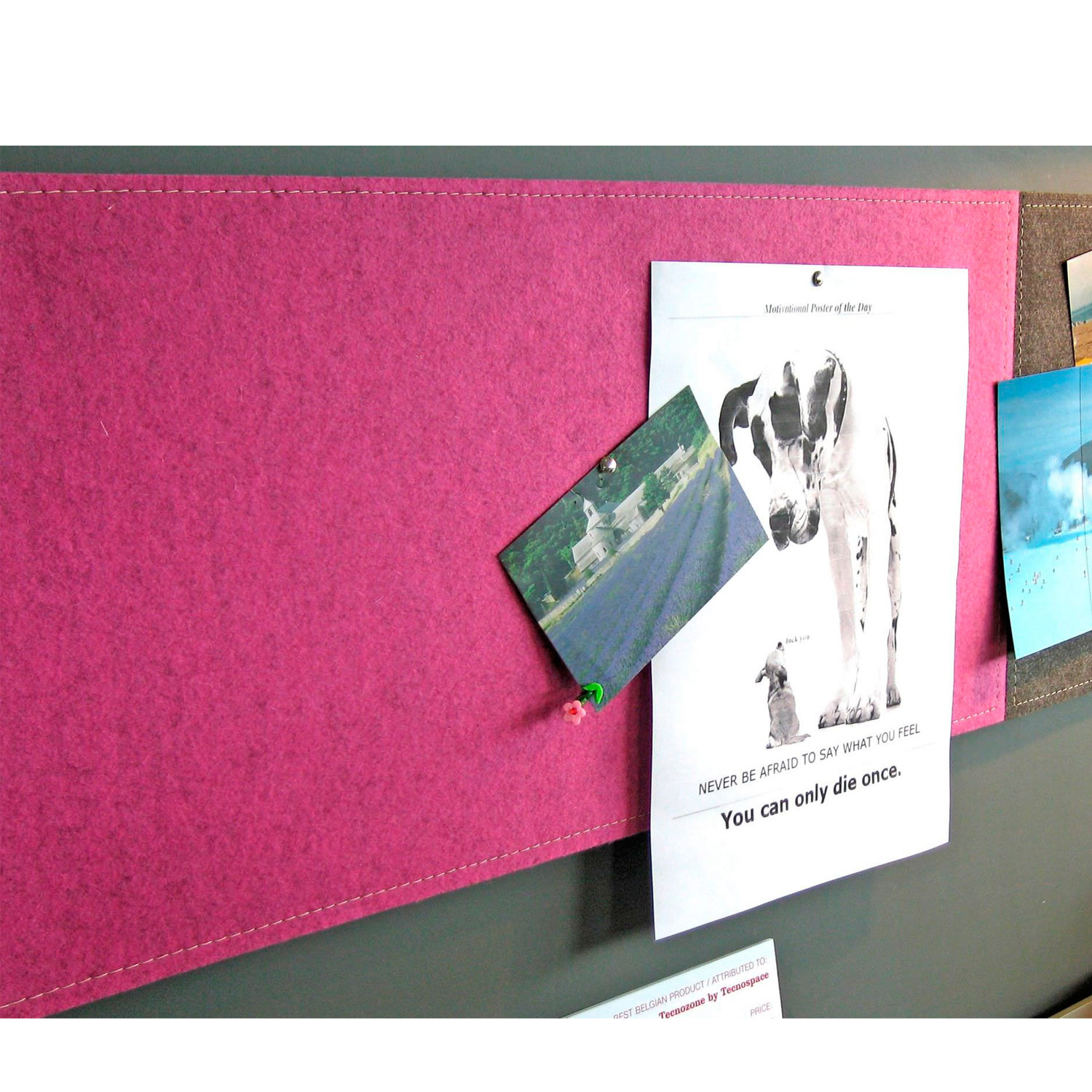 BuzziGrip Acoustic Pin Board from BuzziSpace