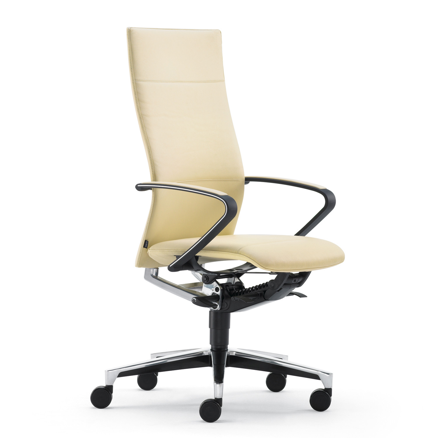Ciello Executive Chairs by Klober
