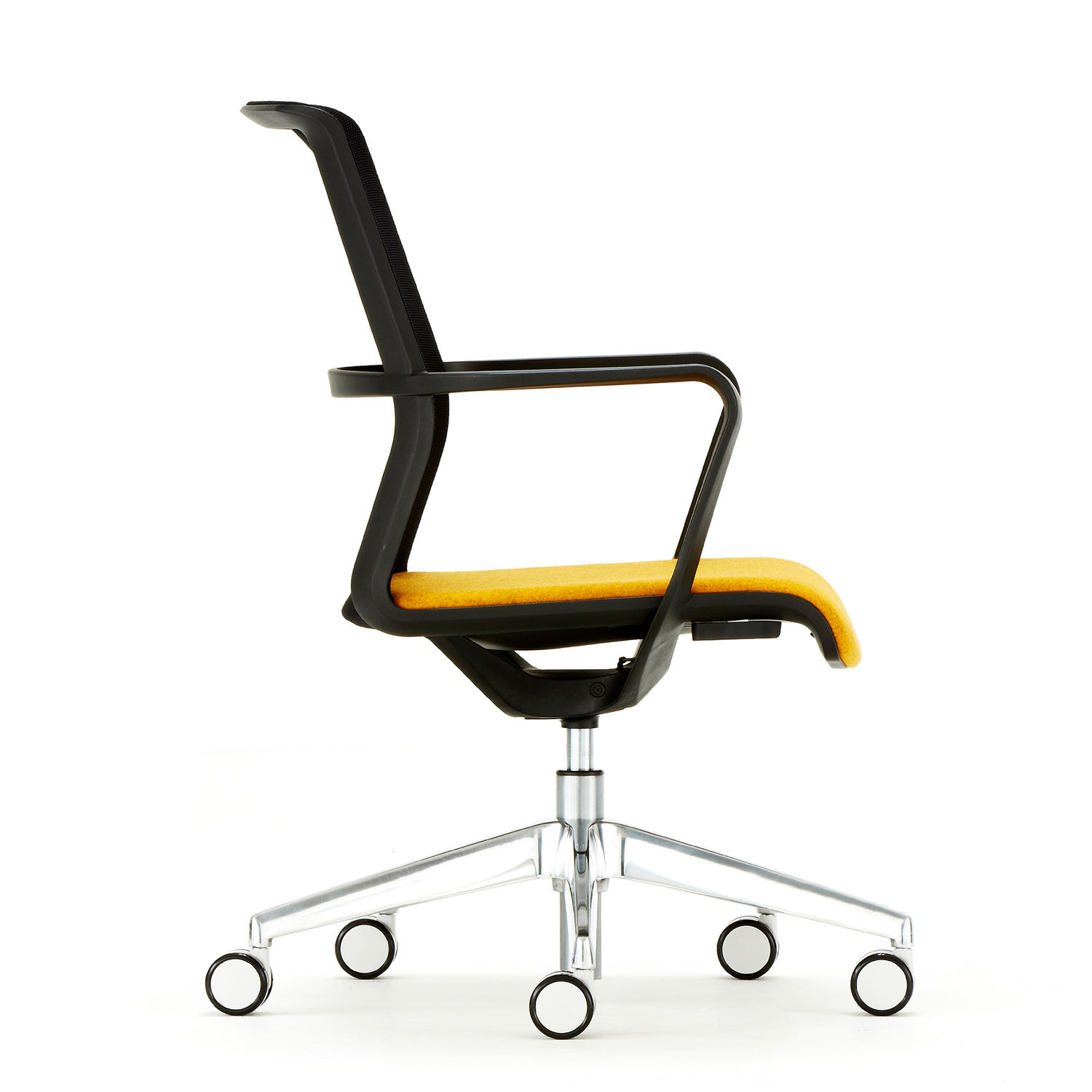 Senator Circo Meeting Chair