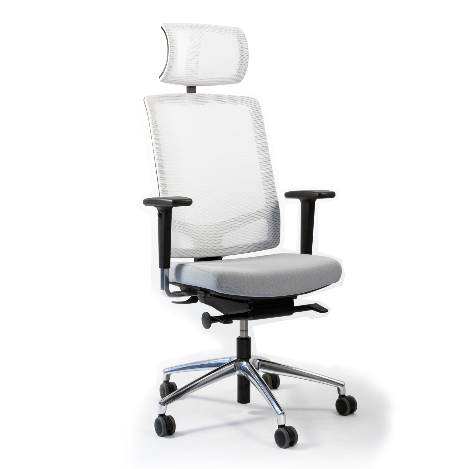 Faveo Task Chair with  Headrest