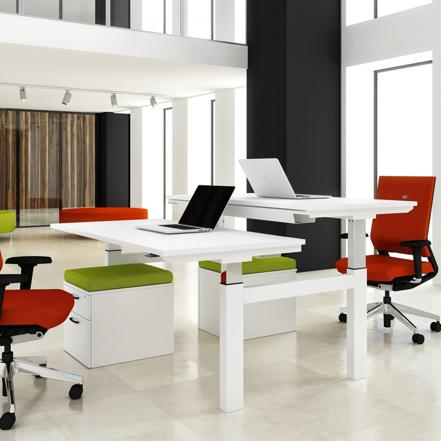 Progress Double Height Adjustable Bench