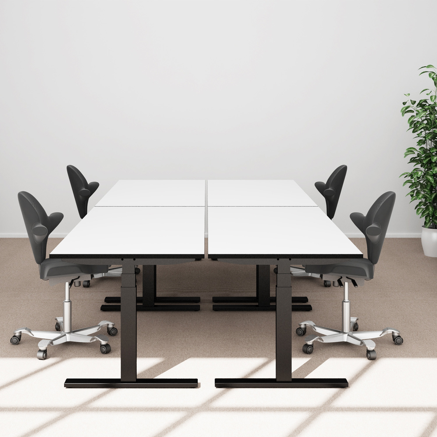 Q20 Adjustable Office Desks