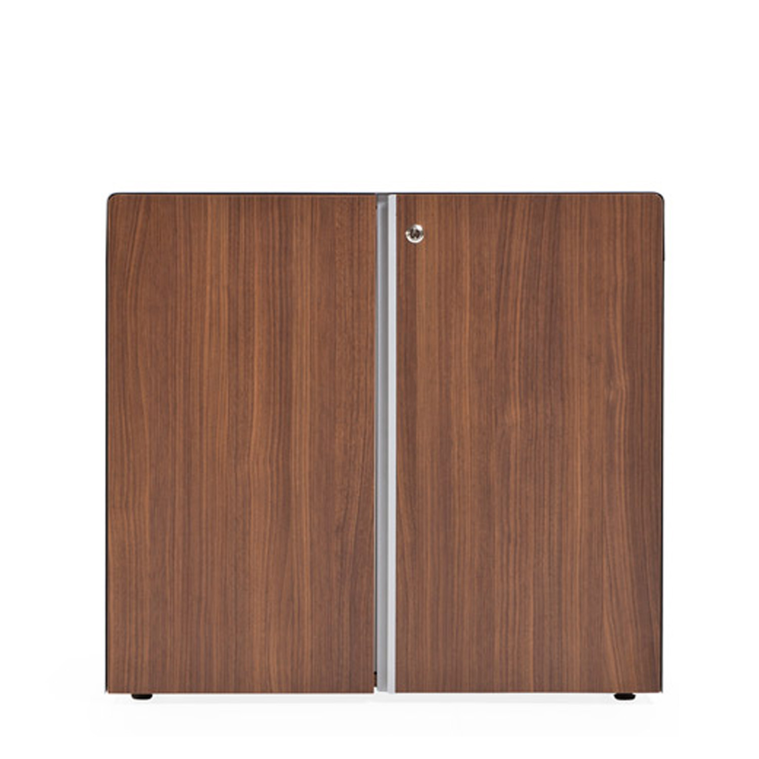 Song Office Storage with Wood Veneer