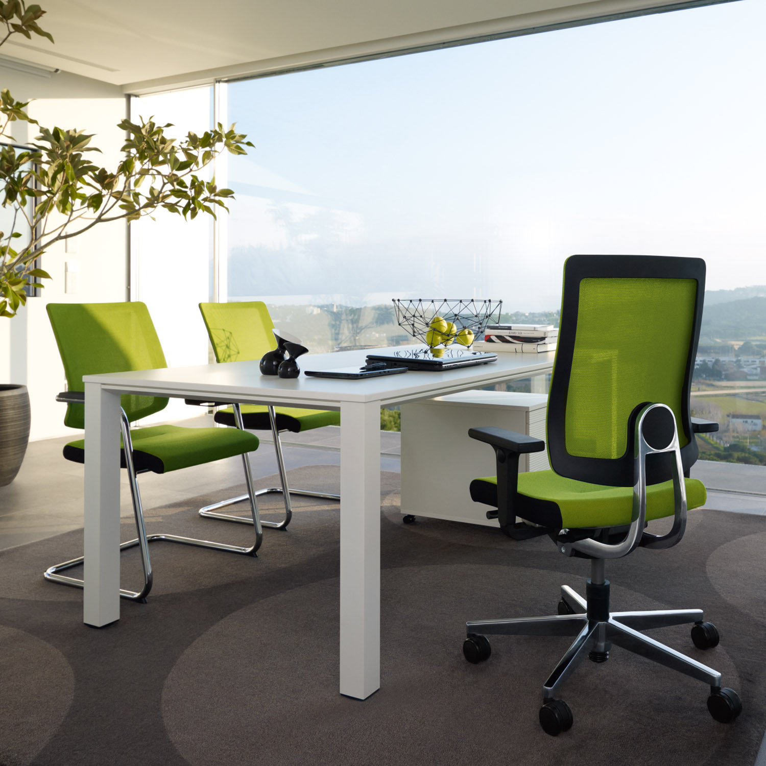 Temptation Prime Office Executive Desk