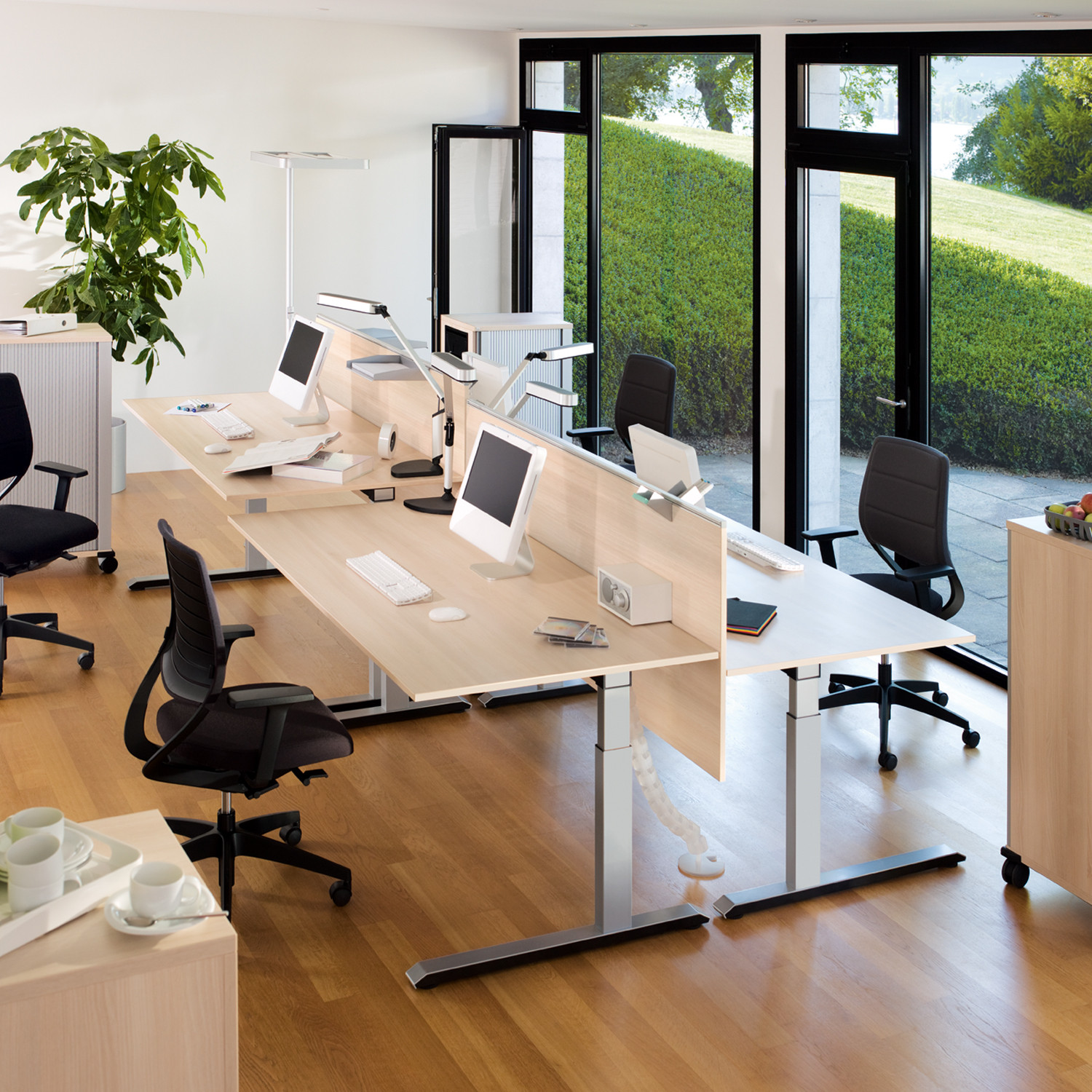 Temptation C Height Adjustable Desks + Desk Screens