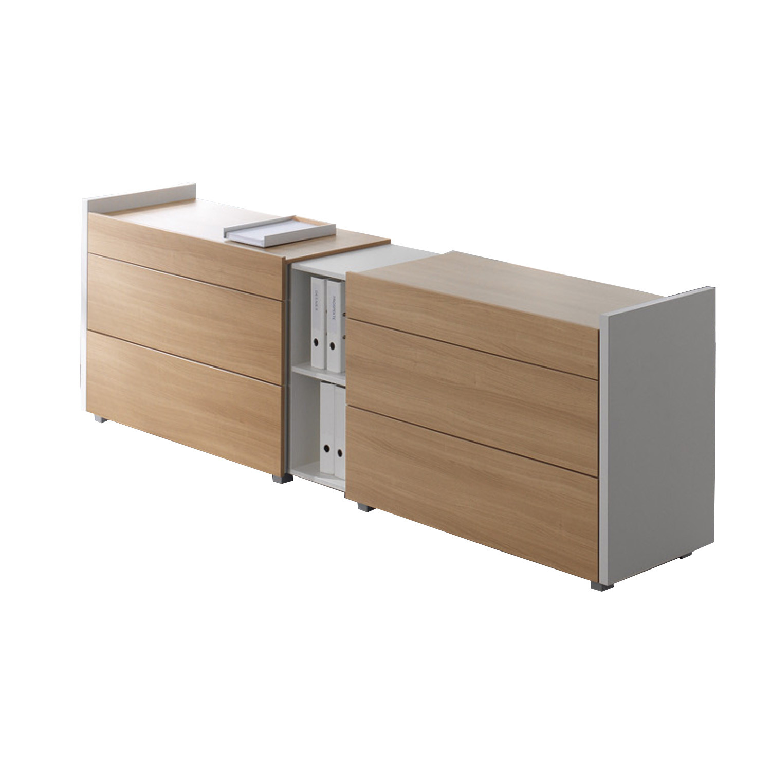 TriASS Carcase