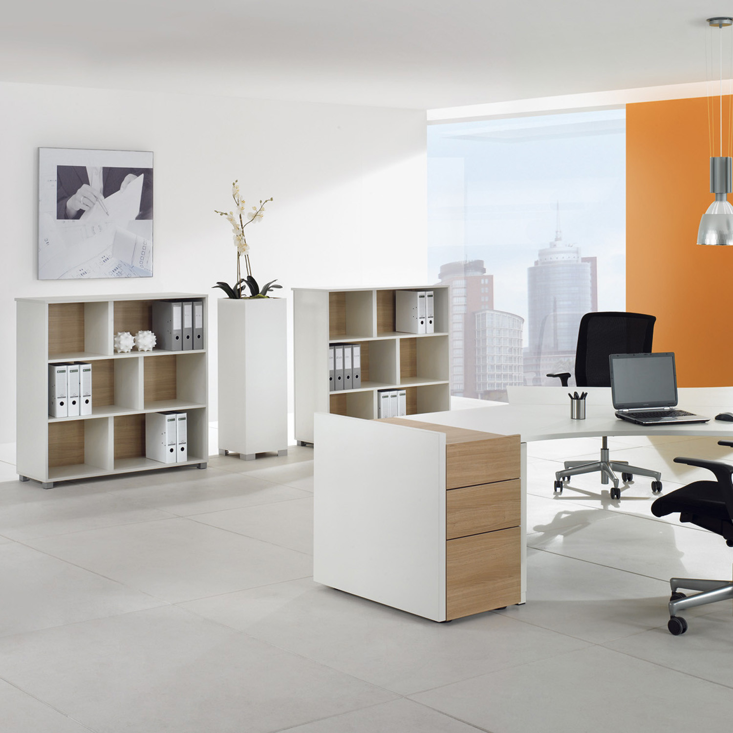 TriASS Pedestal and Bookcases