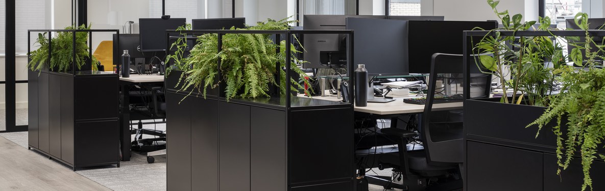 London Investment Firm